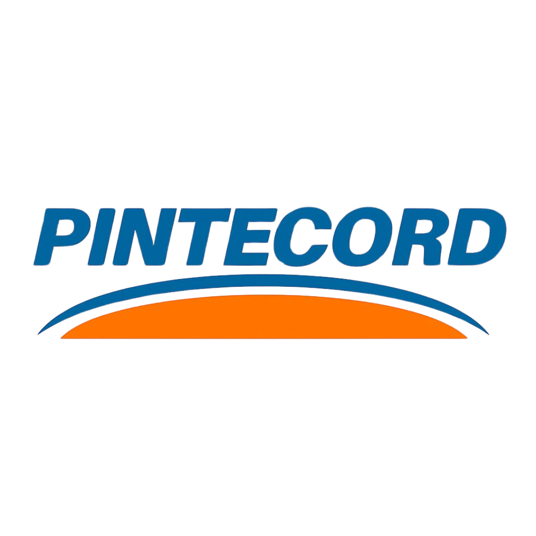 Logo de Pintecord